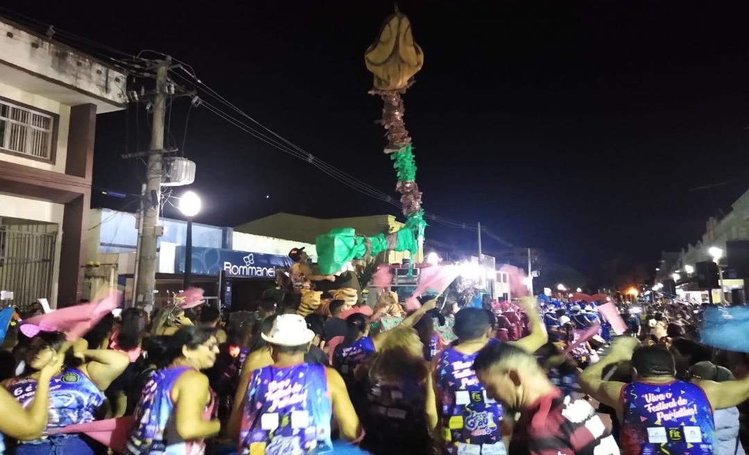 Público comparece em bom número para o desfile dos blocos em Rio Branco